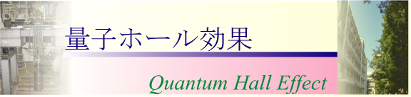 �ʎq�z�[������